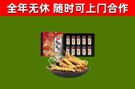 房县烟酒回收冬虫夏草礼盒.jpg