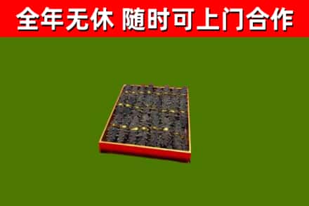 房县回收海参